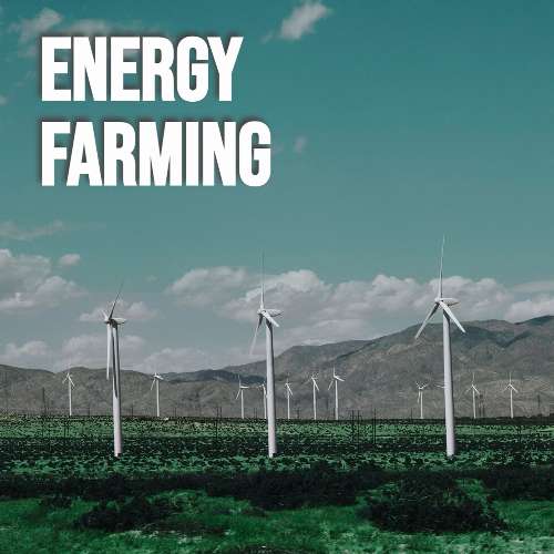 Energy Farming